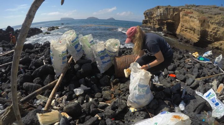 Día del Medio Ambiente: ¿Por qué se celebra este 5 de junio? Este es el origen de la conmemoración