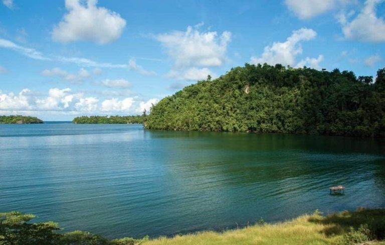 Día Mundial del Medio Ambiente