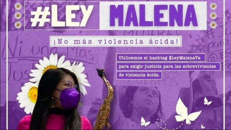 Ley Malena 