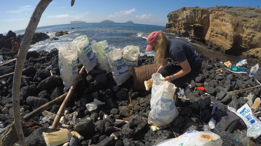 Día del Medio Ambiente: ¿Por qué se celebra este 5 de junio? Este es el origen de la conmemoración