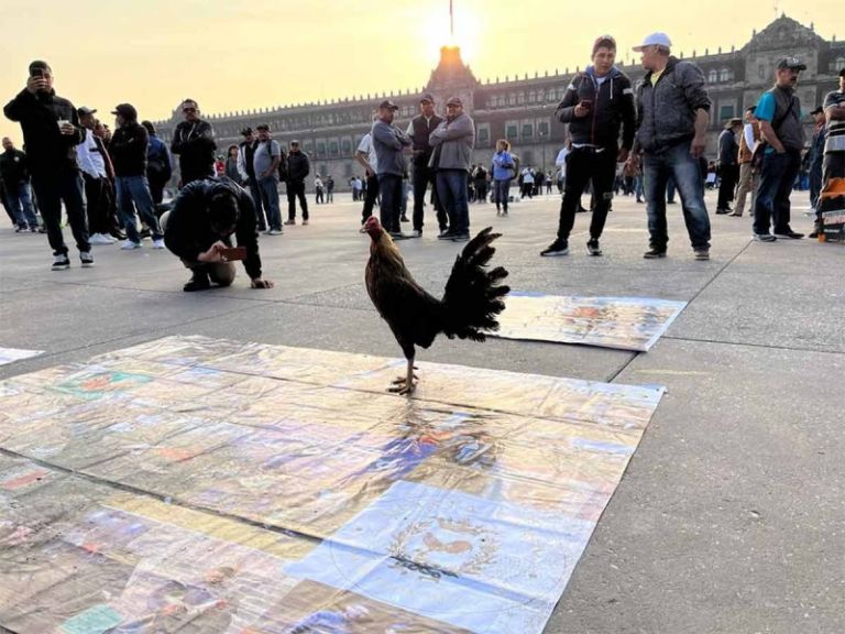 Peleas de gallos en CDMX