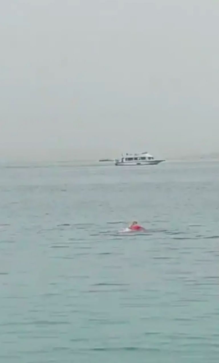 Ataque de Tiburón en Egipto 