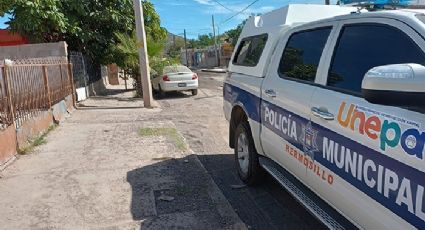 Maltrato animal en Hermosillo: Encuentran a perro sin vida y encadenado en casa abandonada