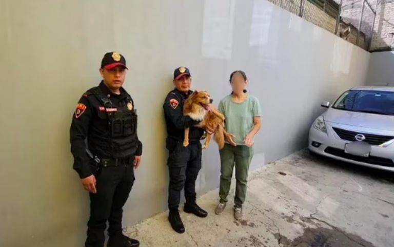 Rescate perrito en CDMX 