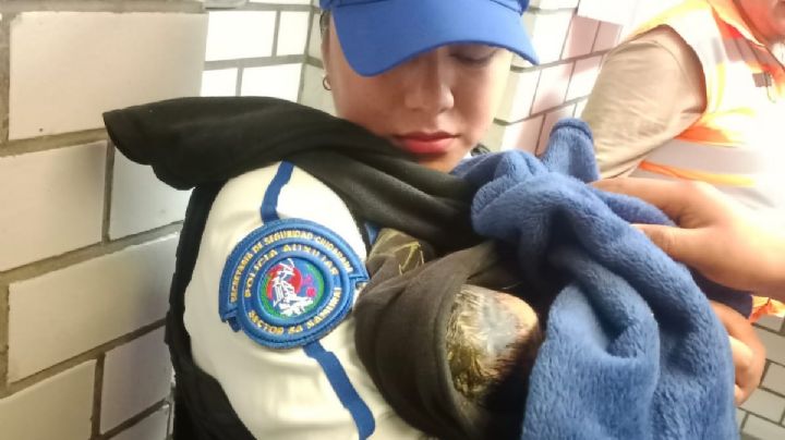 Milagro: Adolescente de 17 años da a luz a su bebé en la estación Acatitla de la Línea A del Metro