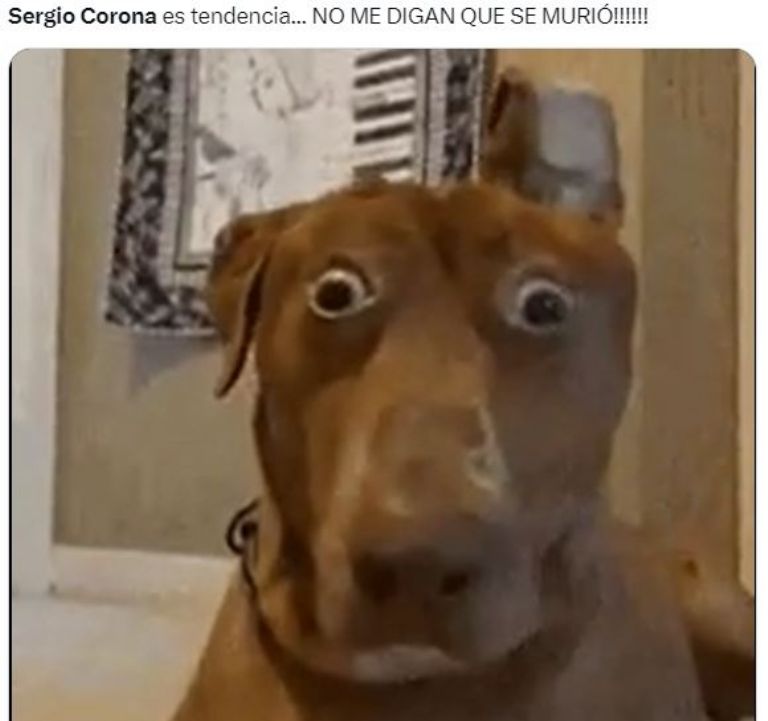 Sergio Corona desata los memes tras volverse tendencia