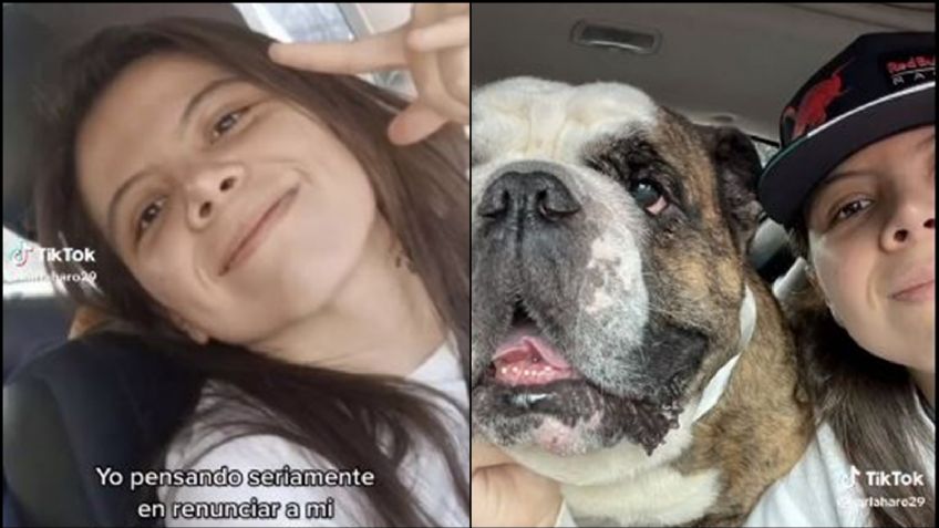 Joven renuncia a su trabajo para convertirse en chofer de perritos; su idea se vuelve viral en Internet