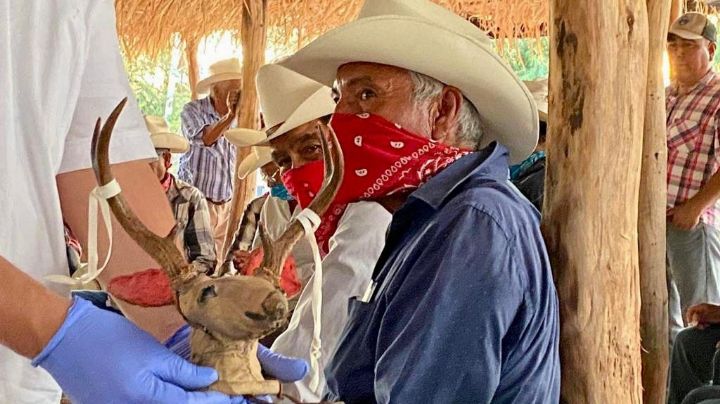 En ceremonia, Pueblo Yaqui recibe el Maaso Koba y objetos ceremoniales repatriados desde Suecia