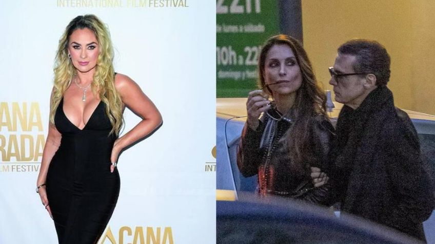 Golpea a Luis Miguel: Exponen al ex de Aracely Arámbula y revelan sus traiciones con Paloma Cuevas