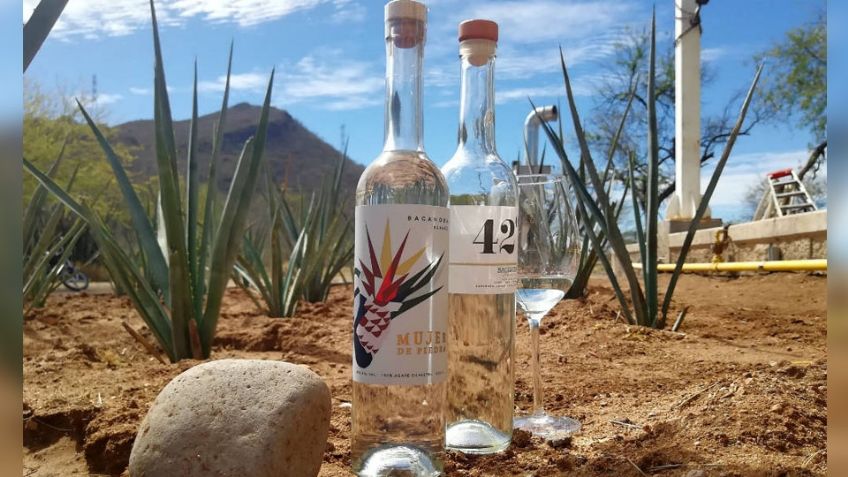 Para septiembre podría ser aprobada la iniciativa del bacanora en el estado de Sonora