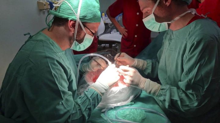 Mujer asesinada durante asalto en Tlalnepantla dona órganos y salva 10 vidas en el Estado de México