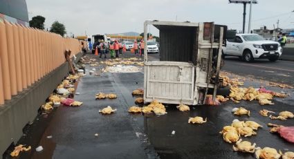 Adiós a las pechugas empanizadas: Se registra volcadura de camioneta con pollo en la México-Puebla