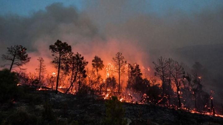 Fuerte incendio le quita la vida a 25 personas en Argelia; 10 de las víctimas fatales eran soldados