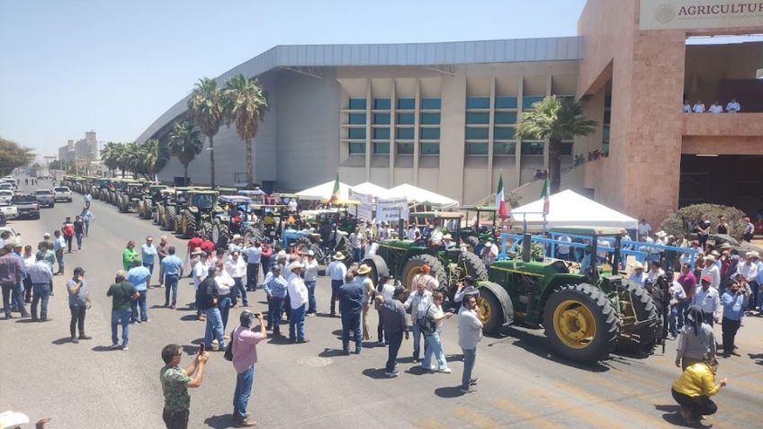 A la deriva está el futuro de los productores del Valle del Yaqui tras no llegar a acuerdos