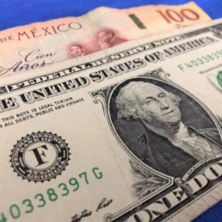 Información sobre el precio del dólar en México. Foto: Internet