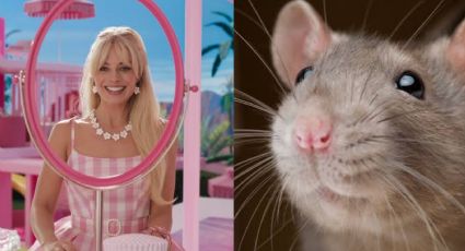 VIDEO: En plena función de 'Barbie', rata entra a una sala de cine y desata pánico entre el público