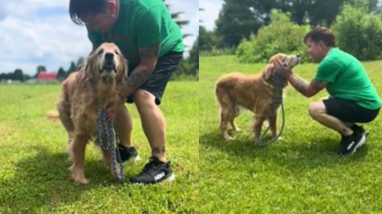 Sophia encontró nueva familia