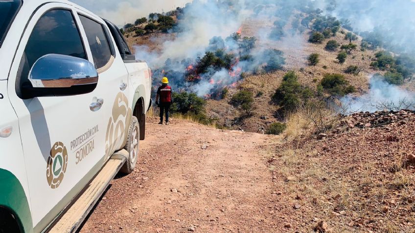 Protección Civil reporta control total en incendio forestal de Nogales y atienden otro en Divisaderos