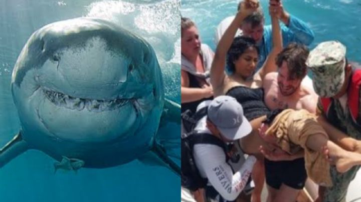 Momento de terror: Mexicana sufre ataque de un tiburón cuando disfrutaba de las Islas Galápagos