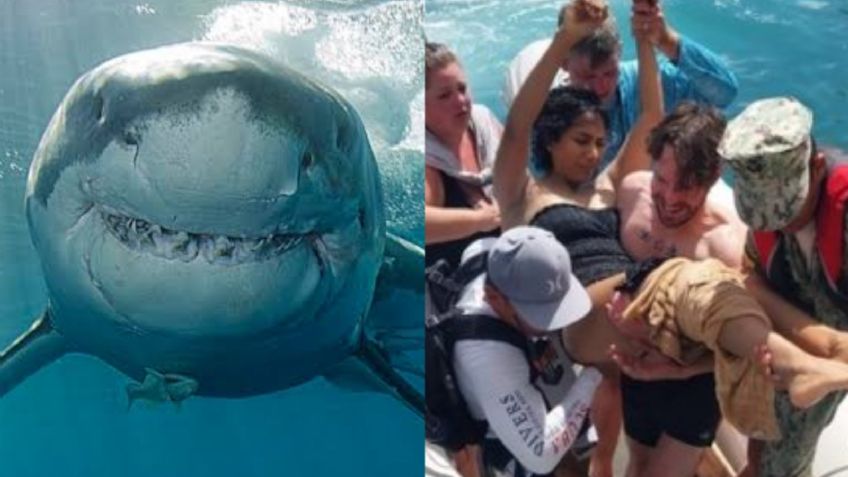 Momento de terror: Mexicana sufre ataque de un tiburón cuando disfrutaba de las Islas Galápagos