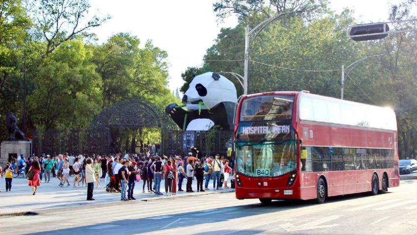 El Zoológico de Chapultepec cumple 100 años de historia y la Ciudad de México está de fiesta