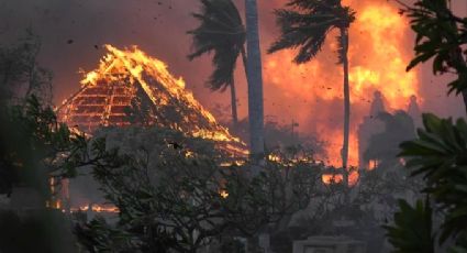 Alerta en Hawai: Incendios forestales dejan 36 muertos y escenarios 'apocalípticos'; esto sabemos
