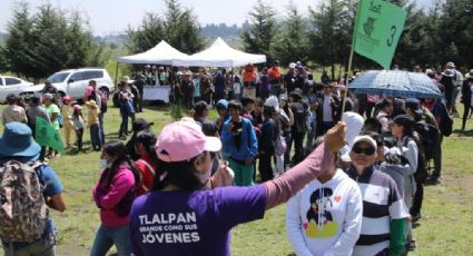 Tlalpan reverdece: Inicia reforestación con plantación de más de mil 500 árboles