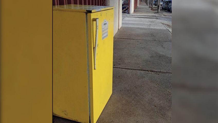 Se roban la 'Mini Biblioteca' instalada a un costado de la Unison en Navojoa