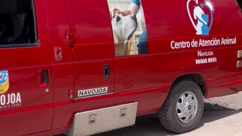 Sonora, avanza: Centro de Atención Animal en Navojoa ya cuenta con una unidad móvil