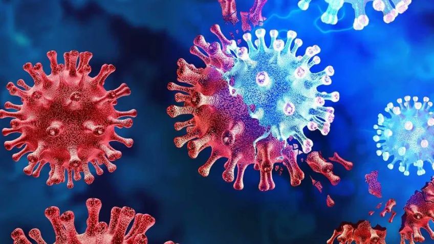 Eris, la nueva variante del Covid-19 ya está en México; estos son los síntomas