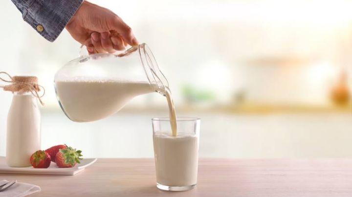 ¿Lala o Alpura? Estas son las mejores marcas de leche según la Profeco este 2023