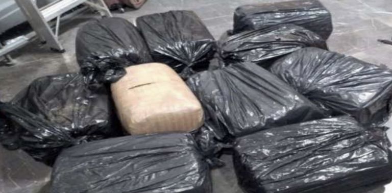 100 kilos de marihuana en la TAPO