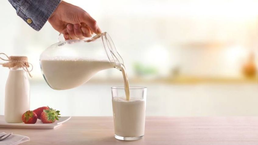 ¿Lala o Alpura? Estas son las mejores marcas de leche según la Profeco este 2023