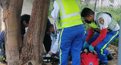 Fuertes imágenes: Abandonan cuerpo de bebé en caja de zapatos en la Ciudad de México