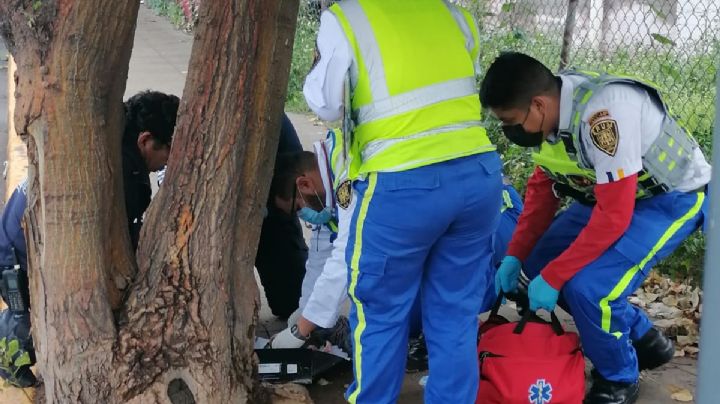 Fuertes imágenes: Abandonan cuerpo de bebé en caja de zapatos en la Ciudad de México