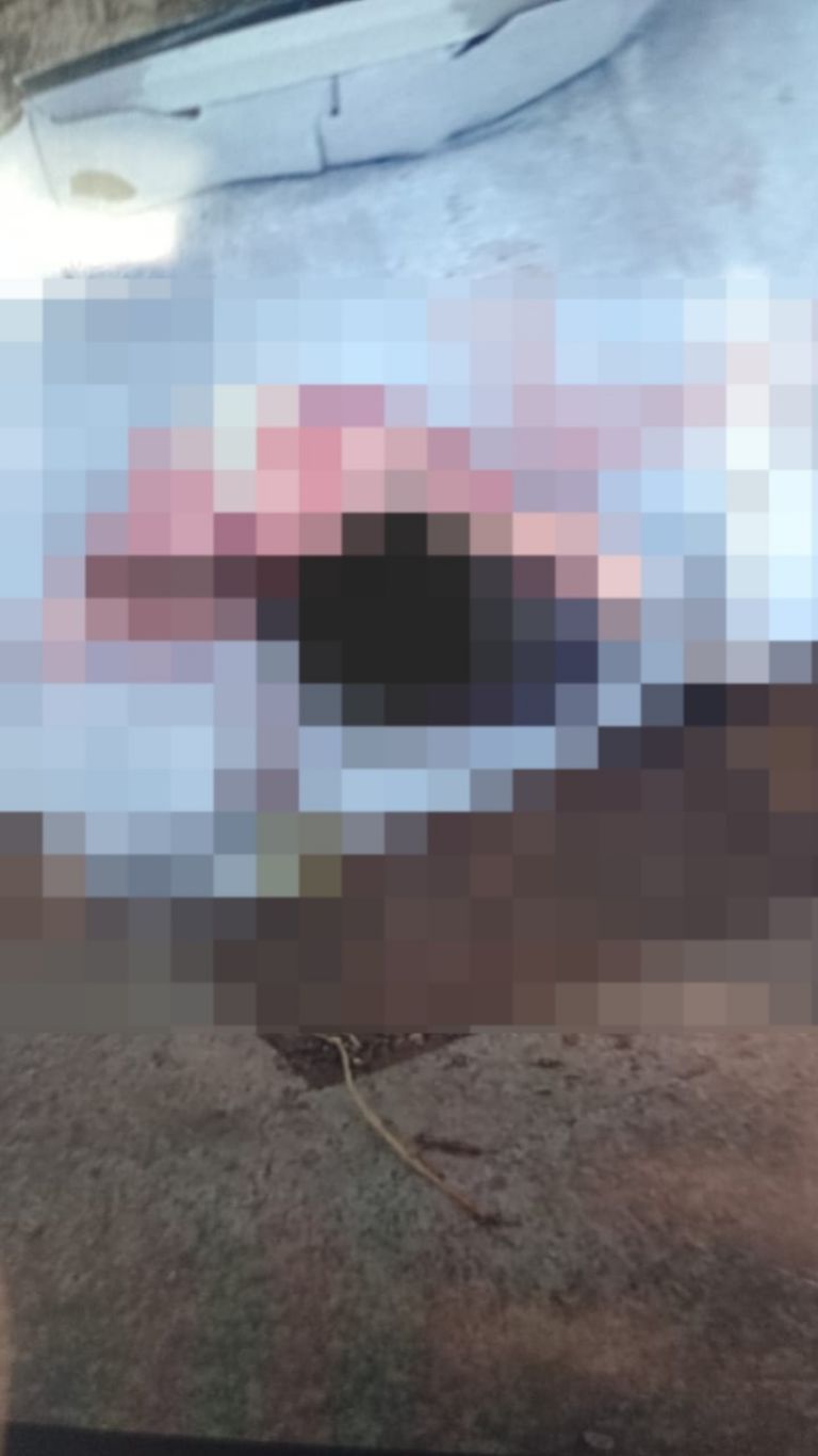 Bebé abandonado en caja de zapatos