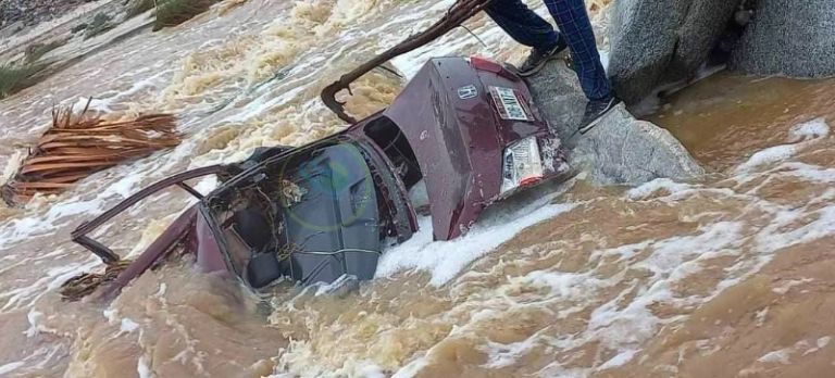 Vehículo de Bertha Berenice  