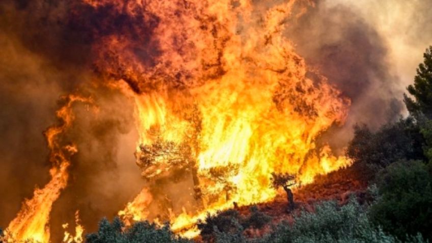 Incendios forestales atacan Grecia: Autoridades emiten alerta tras contar 26 decesos