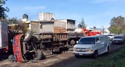 Se acaba el guacamole: Tráiler cargado con aguacate vuelca en la autopista México-Puebla