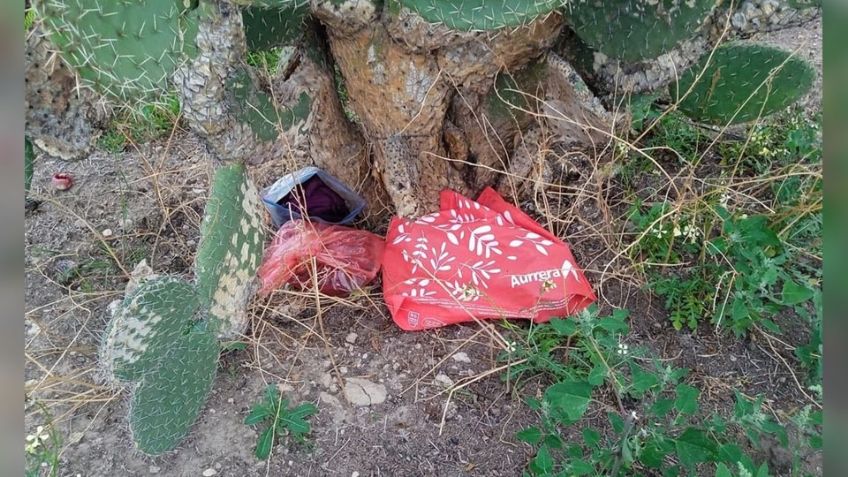 Recién nacida es abandonada en predio de Hidalgo; tenía lesiones provocadas por la fauna