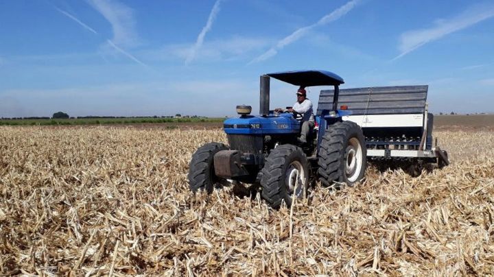 Agricultores cuestionan plan de reconversión productiva en el Valle del Yaqui y Mayo