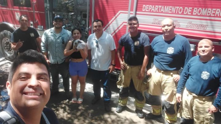 Tras caer en el desagüe de una tubería, Bomberos de Hermosillo rescatan a gatito y lo nombran 'Eso'