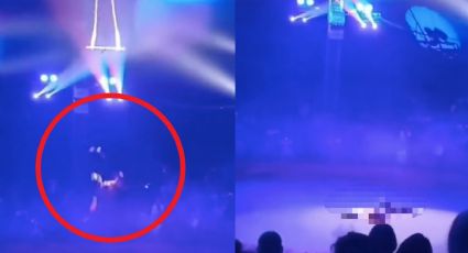 FUERTE VIDEO: Mientras ofrecía una función, trapecista cae al vacío delante del público
