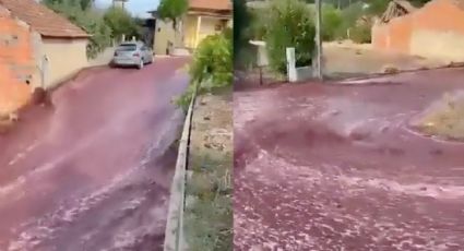 VIDEO: Río de vino tinto inunda calles de Portugal; contenedores se rompen