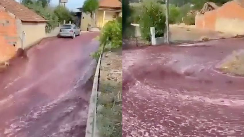 VIDEO: Río de vino tinto inunda calles de Portugal; contenedores se rompen