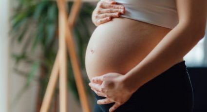 Fiscalía de la CDMX: Mujer que denunció el robo de sus mellizos, nunca estuvo embarazada