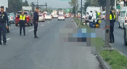 Caos en la calzada Ignacio Zaragoza tras fatídico accidente de un motociclista