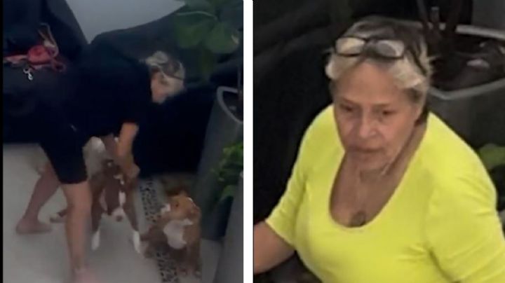 Captan a abuelita mientras patea y golpea con cadena a perritas en la Benito Juárez