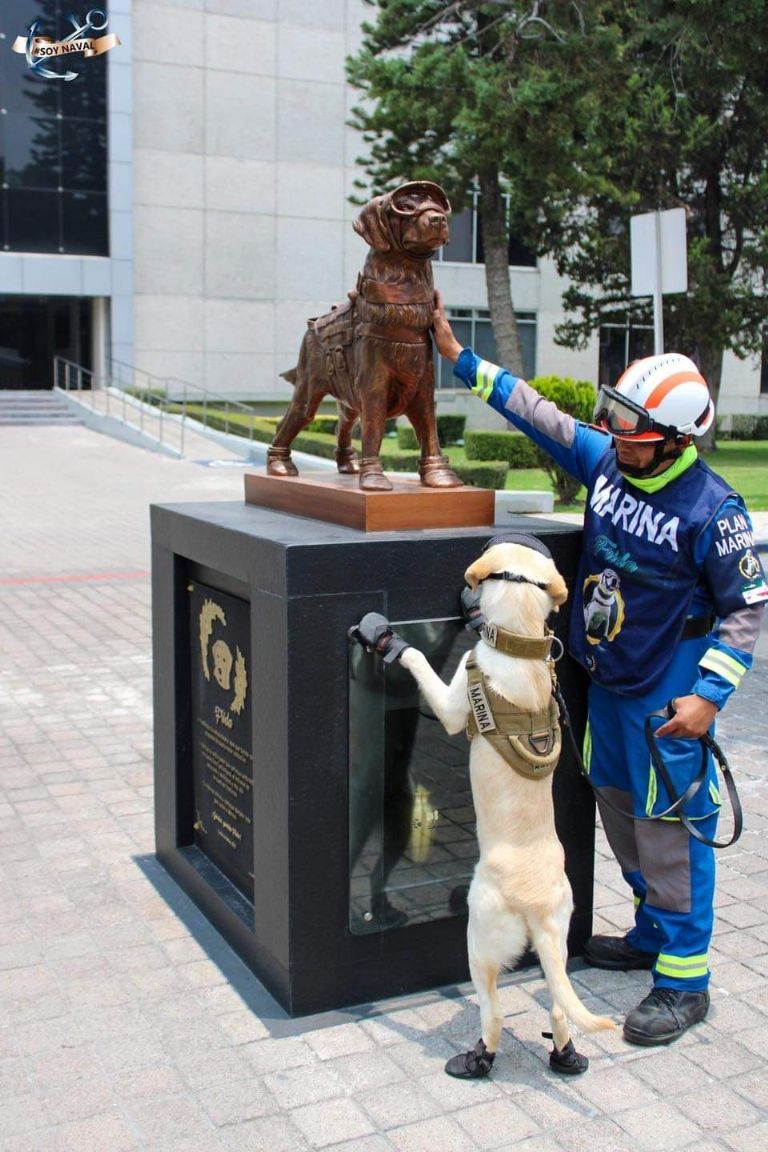 Homenaje a Frida, perrita rescatista