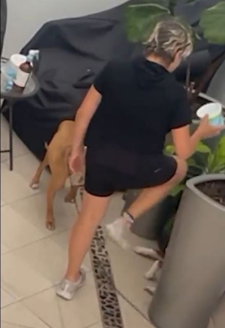 Mujer golpea a perritos en CDMX